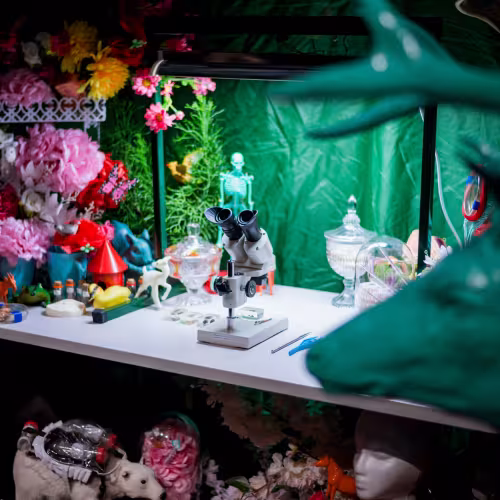 An art installation in a dark art gallery. A table is surrounded by artificial flowers, small plastic birds and animals, dishes, lab materials, and a microscope. In the foreground of the image is the head of a life-sized plastic deer painted turquoise.