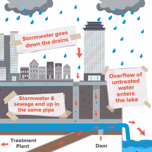 cartoon infographic of rainwater falling on a city, moving through sewer system and into bodies of water
